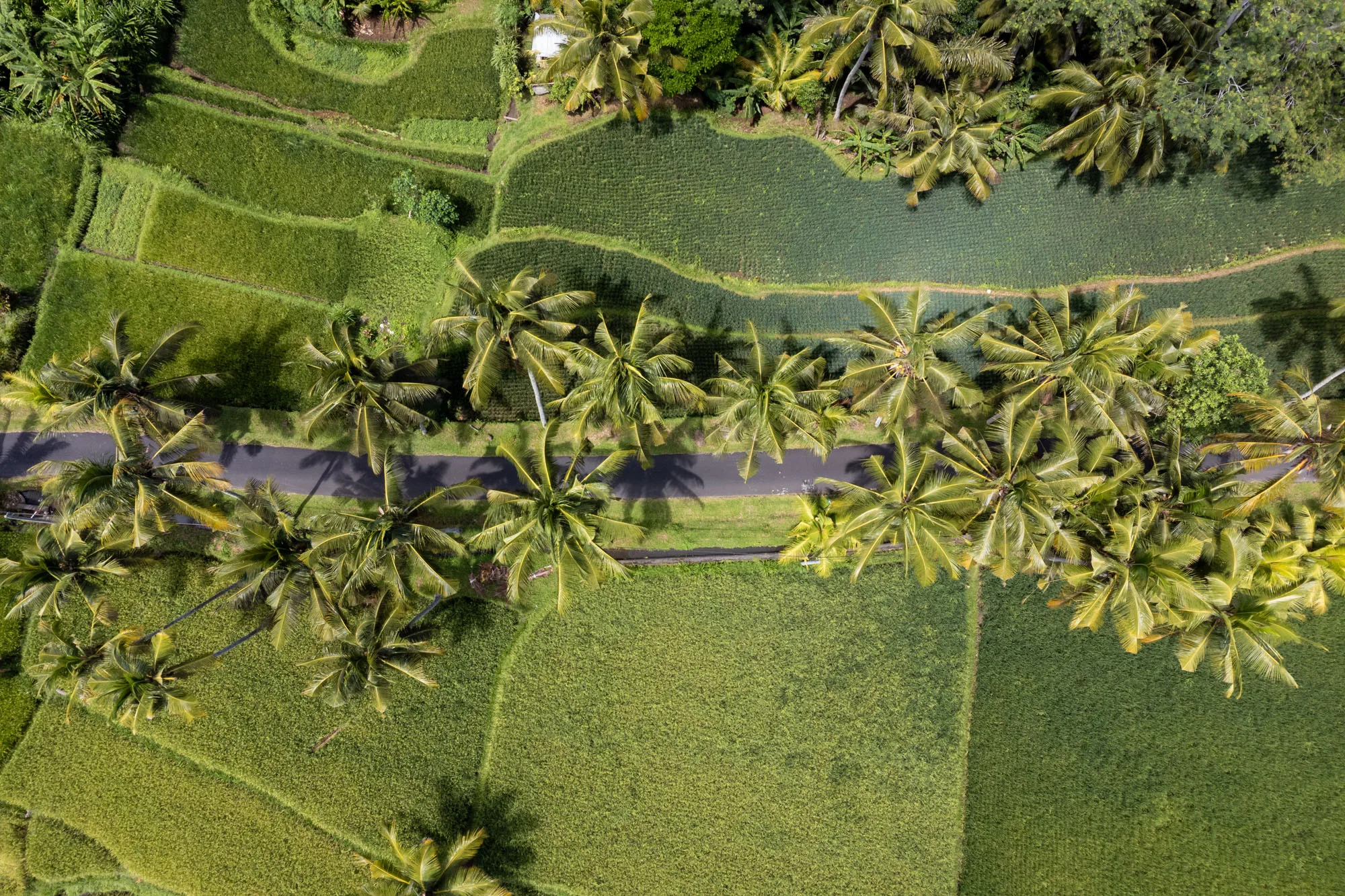 ruta por bali en 10 días