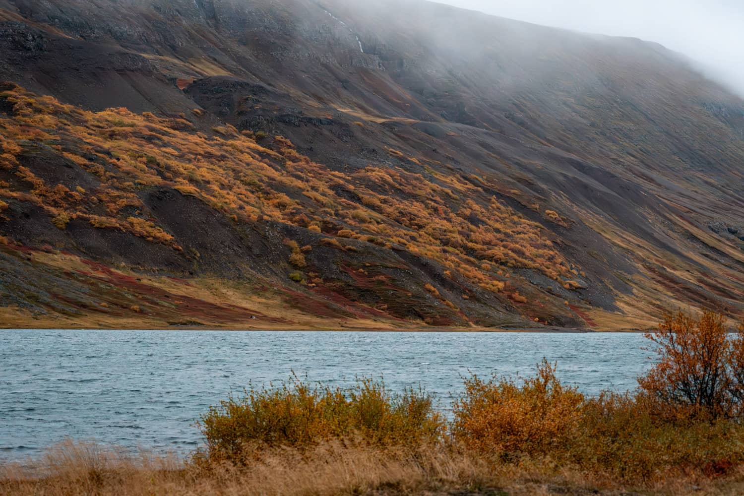 Qué ver en el este de Islandia